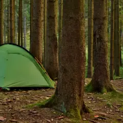 Ziel: gdzie pod namiot nad jezioro. Zielony namiot i dwa rowery czekają na nocleg w lesie, blisko wody.