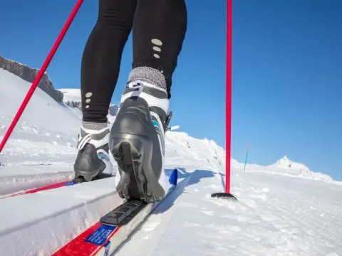 Jak dobrać narty biegowe? Poradnik krok po kroku