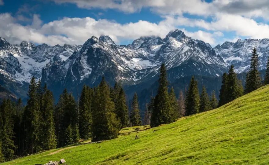 Dolina Kościeliska - plan wycieczki, by poczuć Tatry bez presji