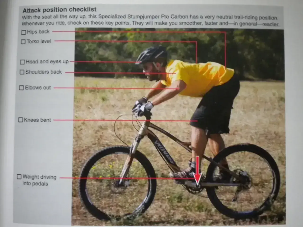 Prawidłowa pozycja na rowerze MTB: biodra cofnięte, tułów lekko pochylony, głowa uniesiona, łokcie zgięte, kolana ugięte, ciężar na pedałach.